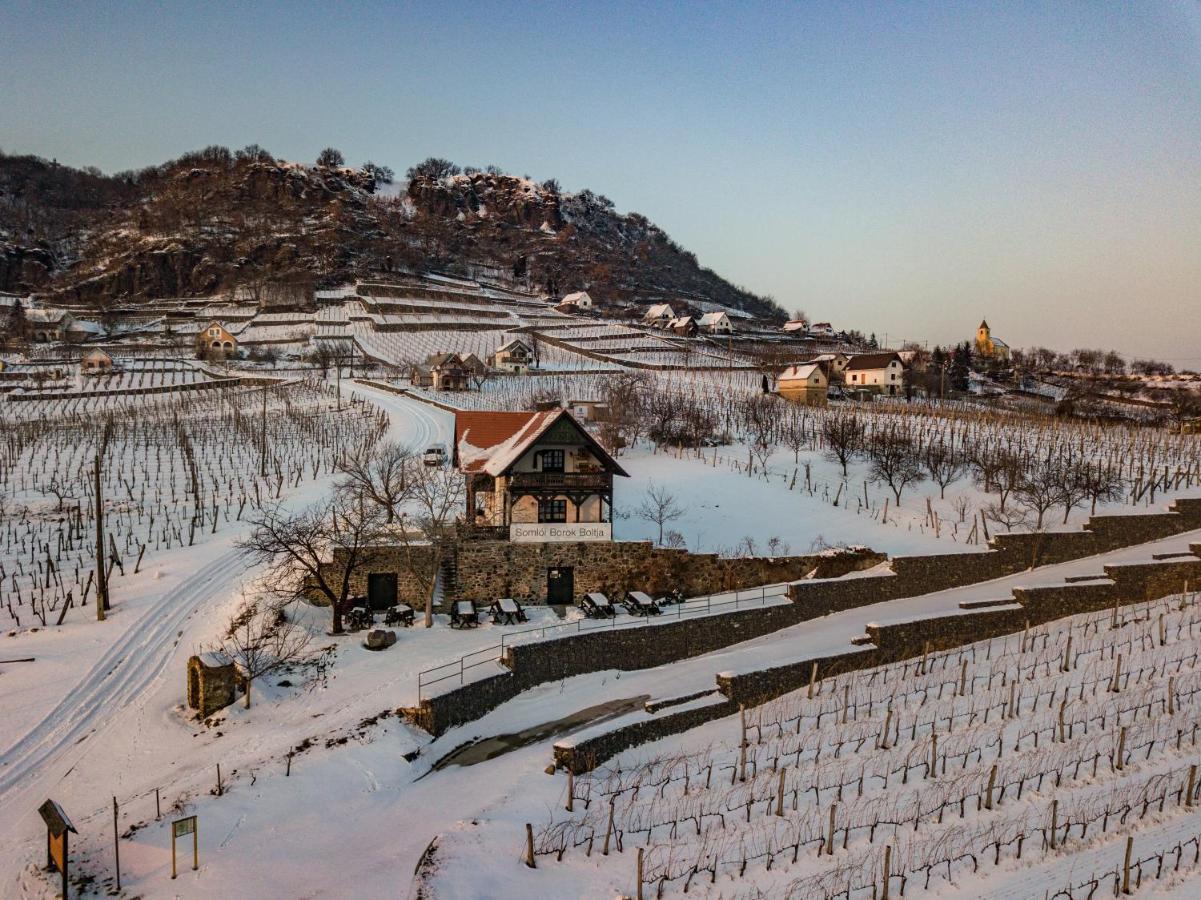 Somlo Wineshop Guesthouse Somlovasarhely Exterior foto